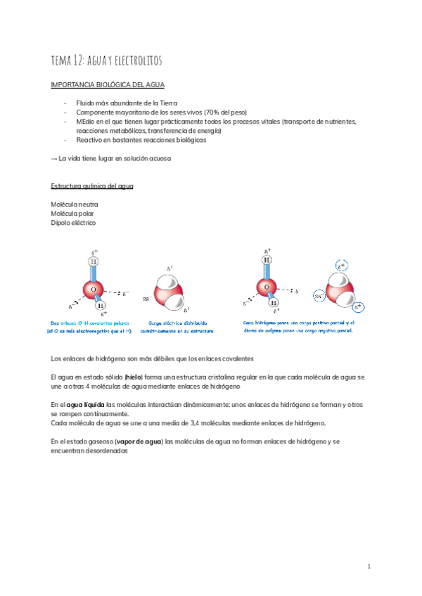 Miniatura del documento tema-12-agua-y-electrolitos.pdf