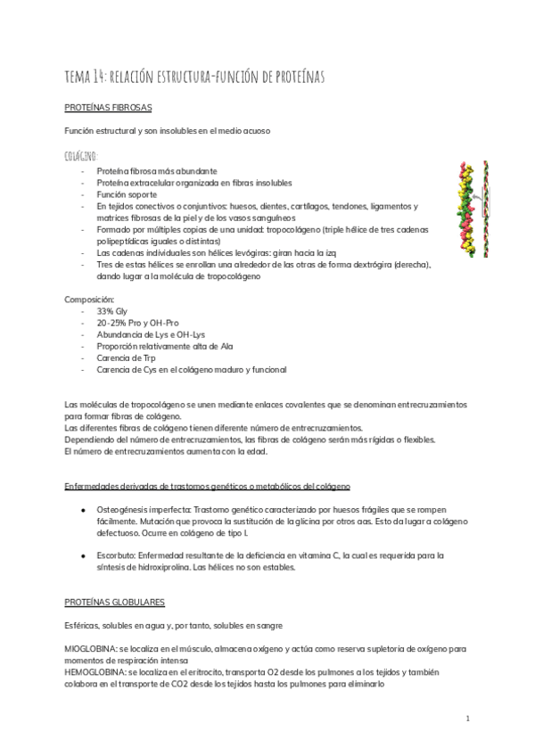 Miniatura del documento tema-14-relacion-estructura-funcion-de-proteinas.pdf