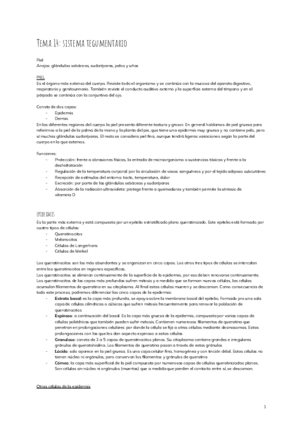 Miniatura del documento Tema-14-sistema-tegumentario-3.pdf
