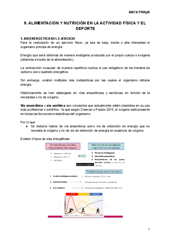 Miniatura del documento 9.pdf