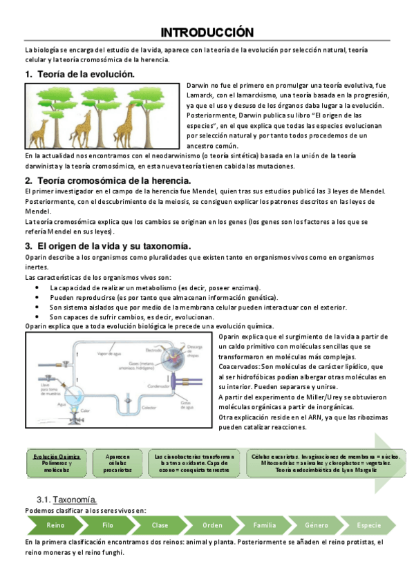 Miniatura del documento Biologia-Grado-Quimica.pdf
