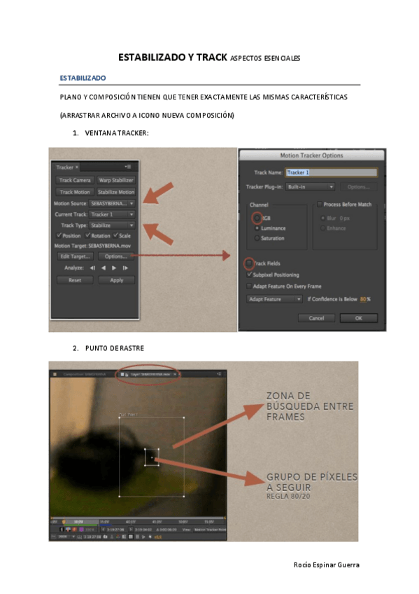 Miniatura del documento T1 ESTABILIZADO Y TRACK ASPECTOS ESENCIALES.pdf