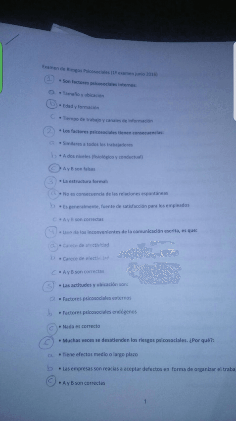 Miniatura del documento IMG_4578.JPG