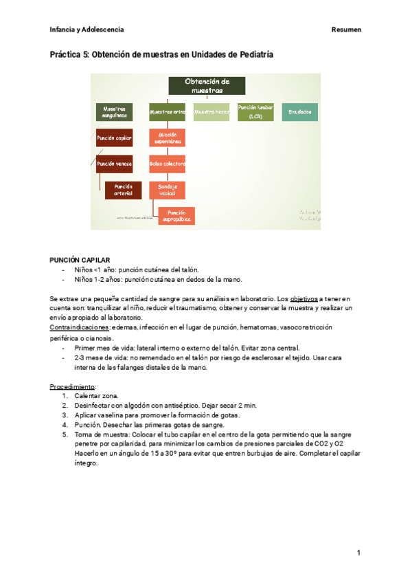 Miniatura del documento Resumen-Practica-5-Infancia.pdf