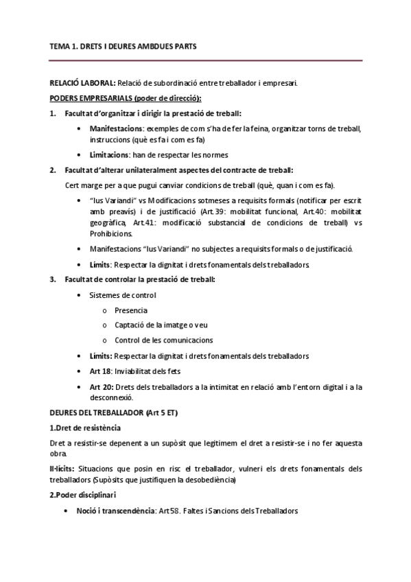 Miniatura del documento derecho-trabajo-II.pdf