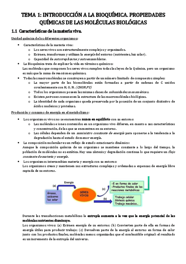 Miniatura del documento T01.pdf