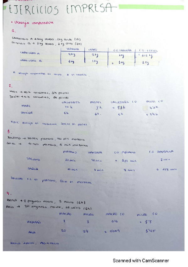 Miniatura del documento EJERCICIOS-EMPRESA.pdf