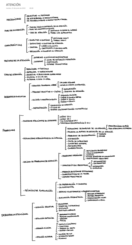 Miniatura del documento ATENCION-.pdf