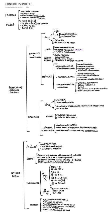 Miniatura del documento CONTROL-ESFINTERES-.pdf