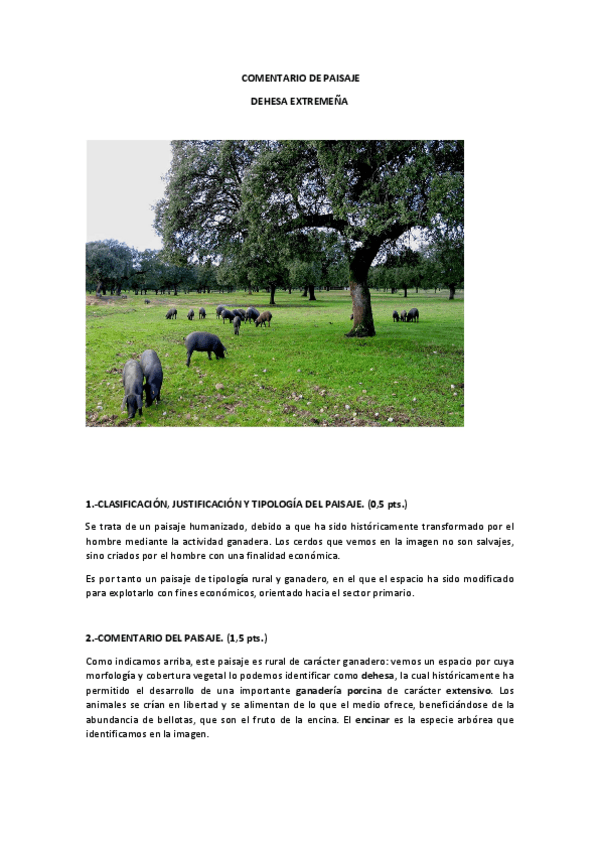 Miniatura del documento 4-DEHESA-CON-CERDOS.pdf