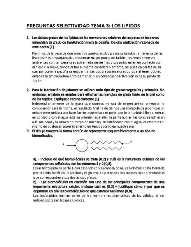 Miniatura del documento PREGUNTAS-SELECTIVIDAD-LIPIDOS-CORREGIDAS.pdf
