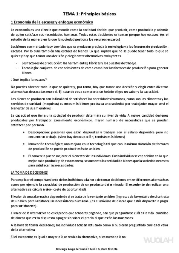 Miniatura del documento TEMAS-1-2-Y-3.pdf