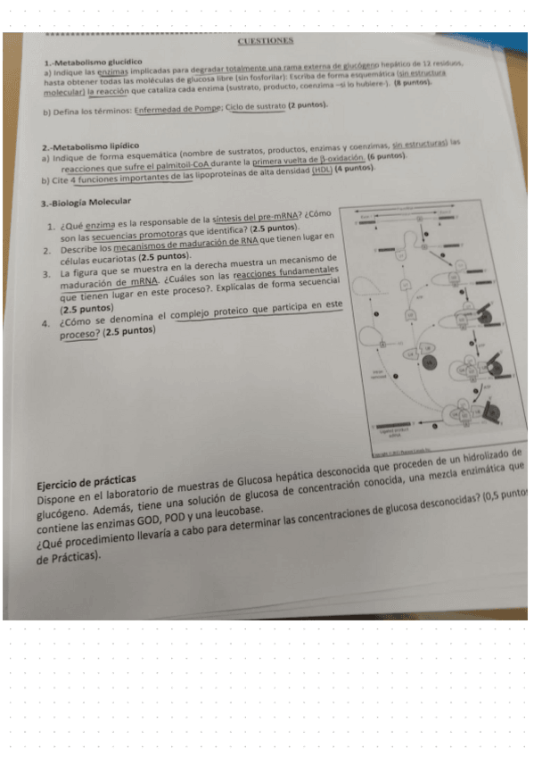 Miniatura del documento Preguntas-Cortas-2022.pdf