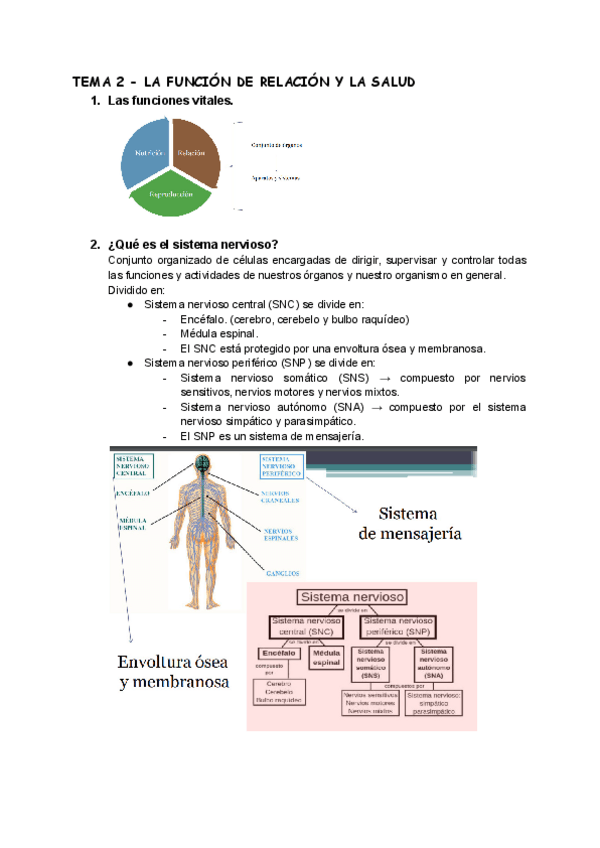 Miniatura del documento TEMA-2-LA-FUNCION-DE-RELACION-Y-LA-SALUD.pdf