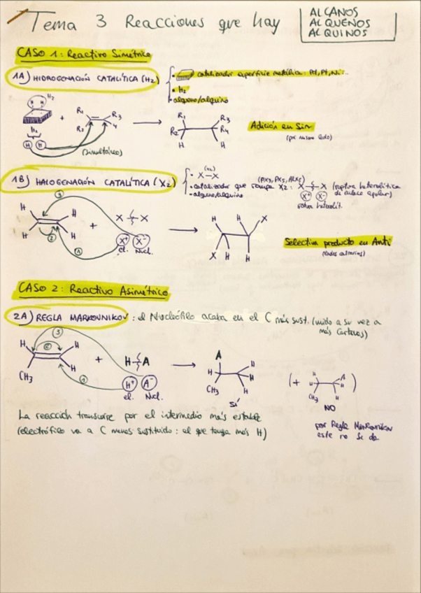 Miniatura del documento El-esqueleto-carbonado-temas-3-y-4.pdf