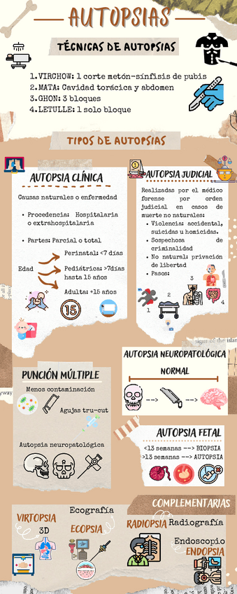 Miniatura del documento INFOGRAFIAAUTOPSIAS.pdf