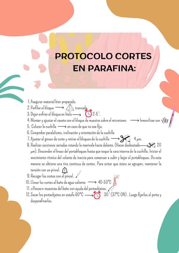 Miniatura del documento PROTOCOLOCorteparafina.pdf