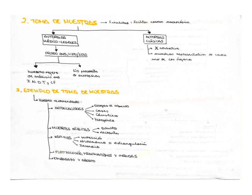 Miniatura del documento Esquemanecropsias.pdf