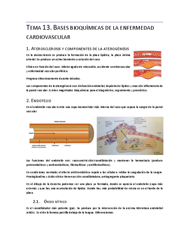 Miniatura del documento Tema-13.pdf