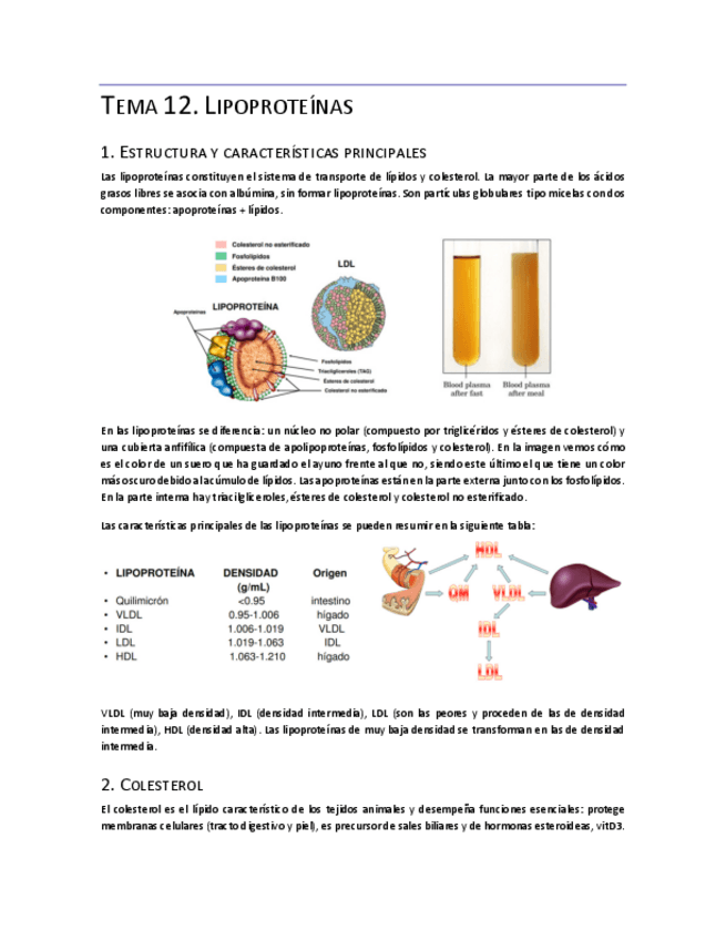Miniatura del documento Tema-12.pdf