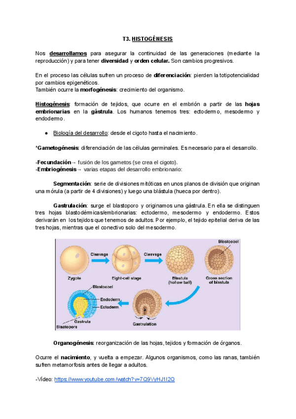 Miniatura del documento HISTOGENESIS.pdf