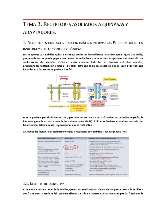 Miniatura del documento Tema-3.pdf