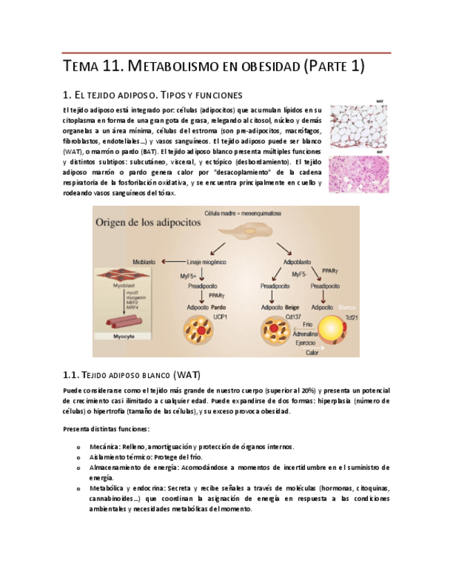 Miniatura del documento Tema-11-Parte-1.pdf