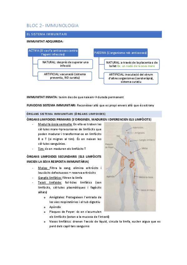 Miniatura del documento Bloc-2-IMMUNOLOGIA.pdf