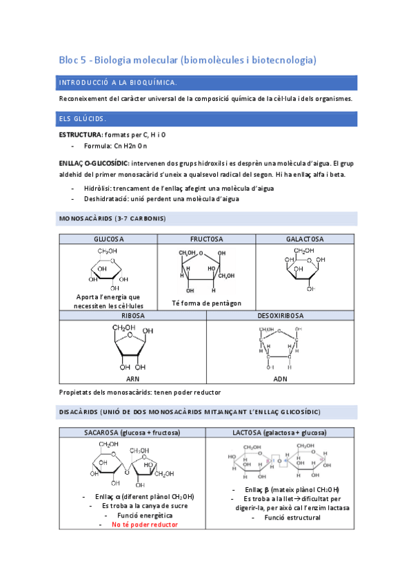 Miniatura del documento Bloc-5-BIOLOGIA-MOLECULAR.pdf