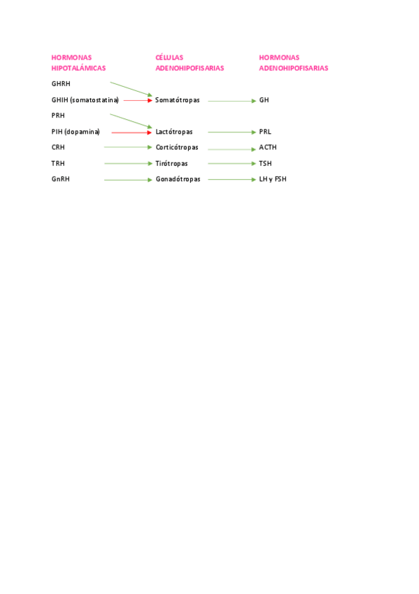 Miniatura del documento Esquema-eje-hipotalamo-hipofisis.pdf