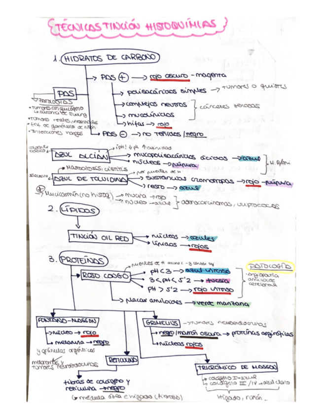 Miniatura del documento EsquemasPCT.pdf