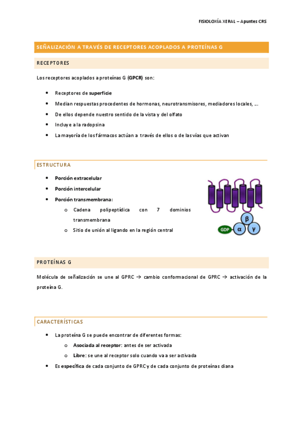 Miniatura del documento 2. receptores acoplados a proteínas G_ Costoya.pdf