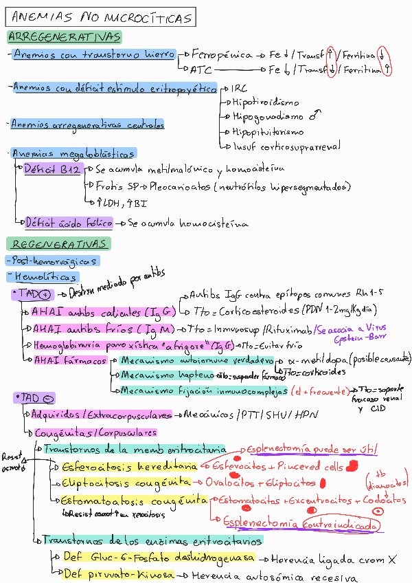 Miniatura del documento Tema3Anemias-no-microcriticas.pdf