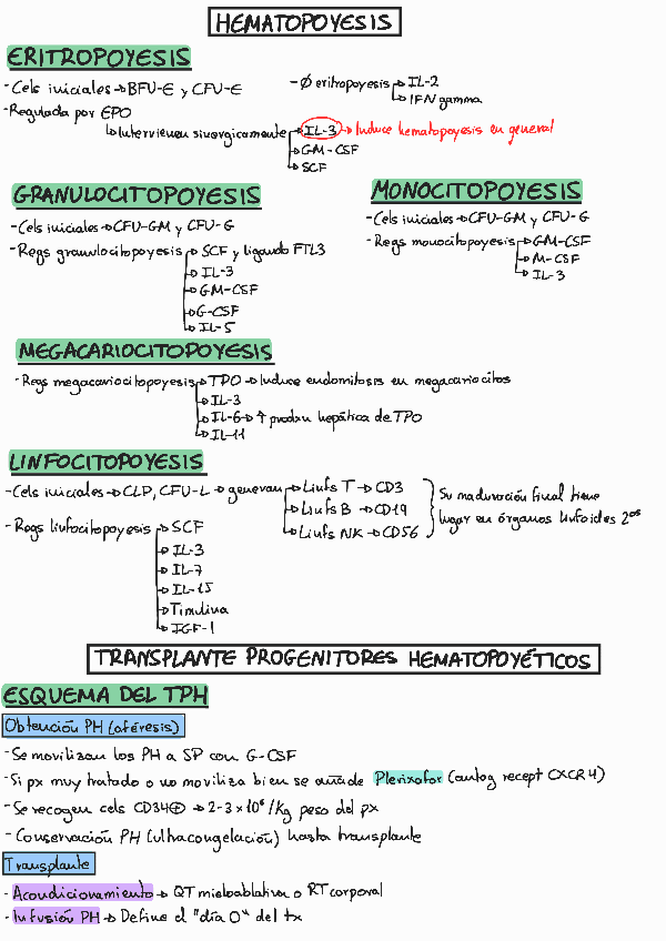 Miniatura del documento Tema1Hematopoyesis-y-TPH.pdf
