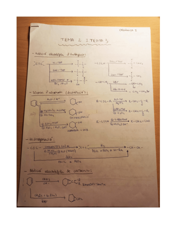 Miniatura del documento Resumen-quimica-organica-I.pdf