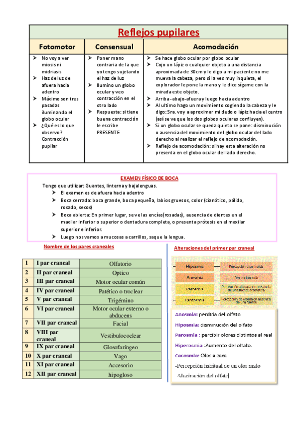 Miniatura del documento Reflejos-pupilares.pdf