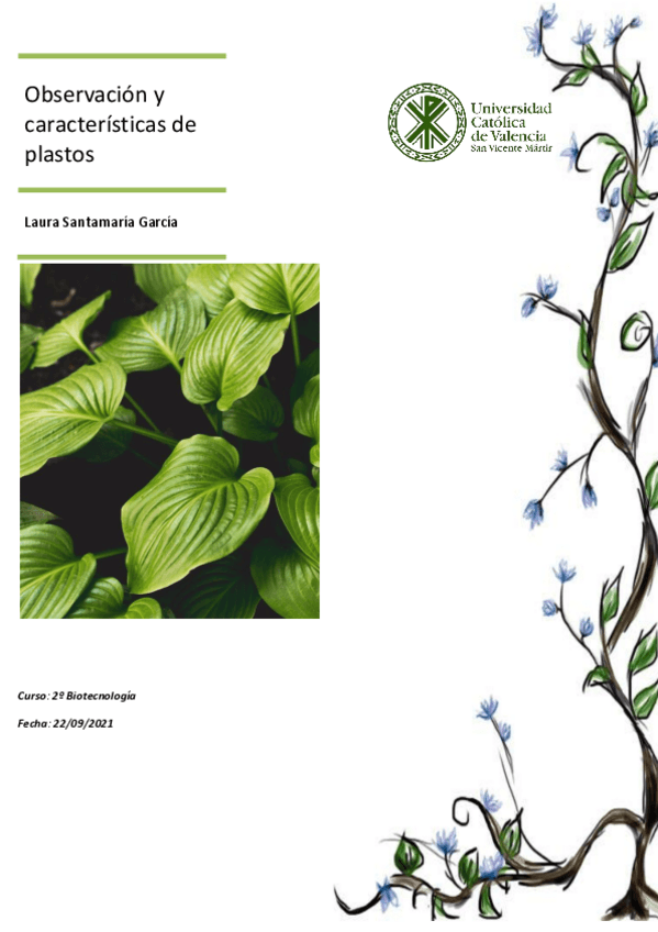 Miniatura del documento Pracrtica-1.pdf