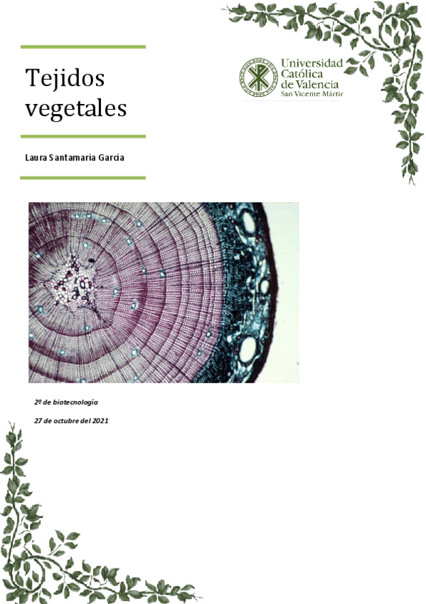 Miniatura del documento Practica-2.pdf