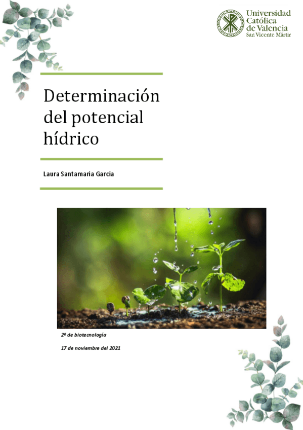 Miniatura del documento Practica-3.pdf