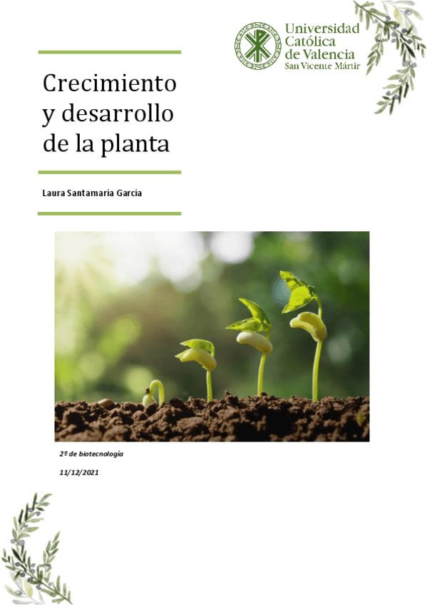 Miniatura del documento Practica-4.pdf