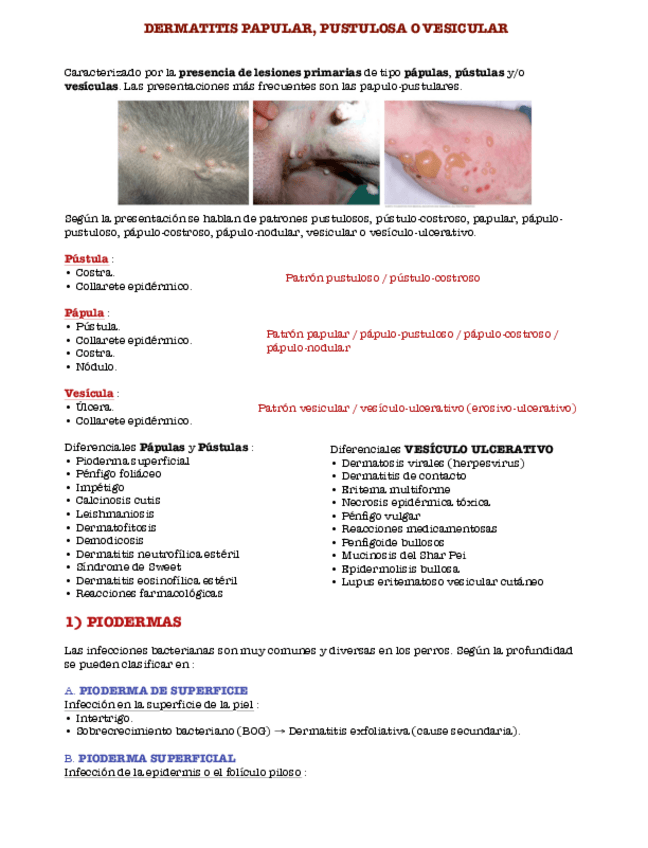 Miniatura del documento Dermatitis-papular-pustulosa-o-vesicular.pdf