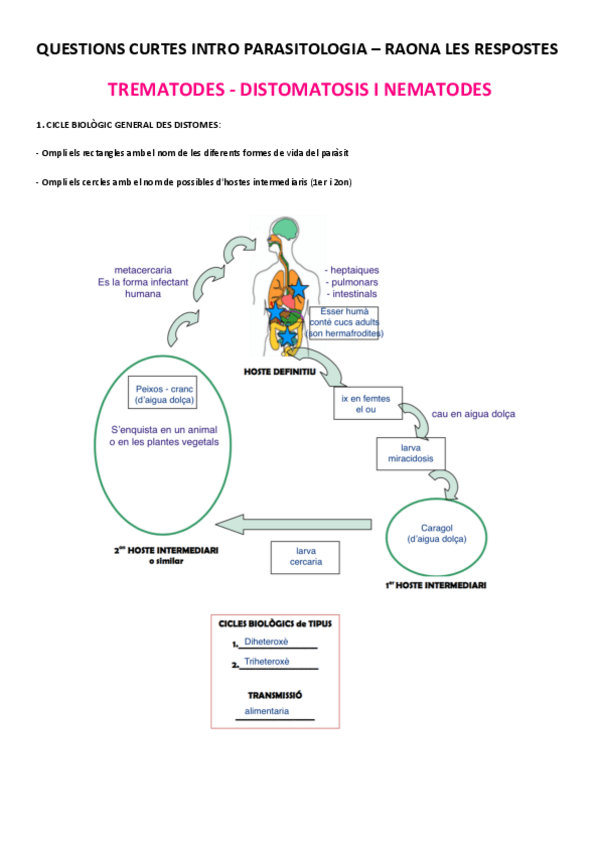 Miniatura del documento Tutoria 2.pdf