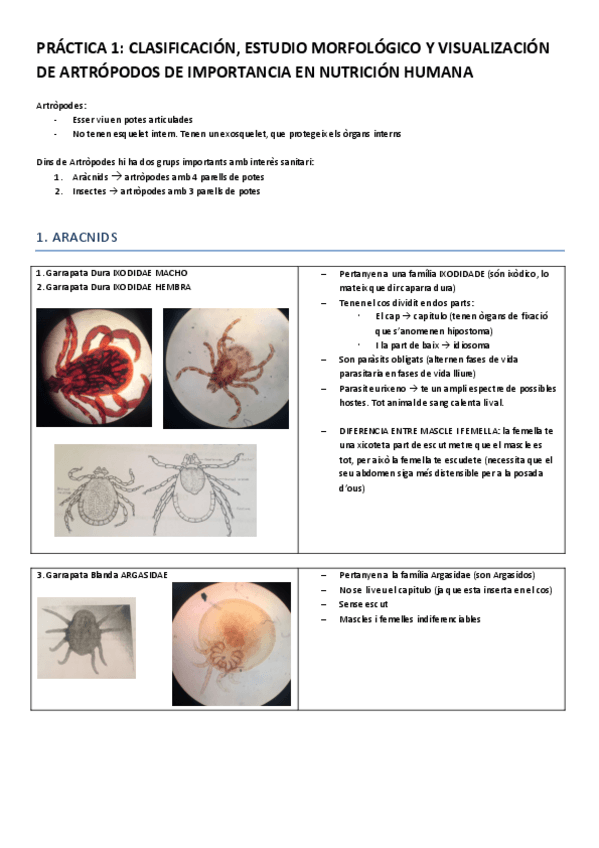 Miniatura del documento PRACTIQUES.pdf