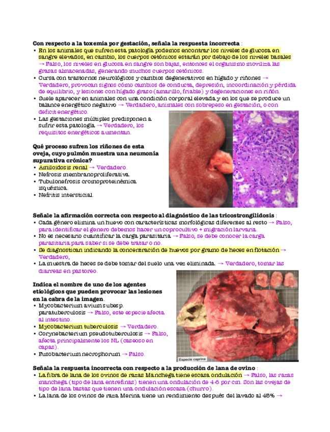 Miniatura del documento Examen-2-parcial.pdf