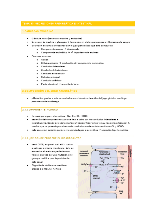 Miniatura del documento tema-33-fisio-resumen.pdf