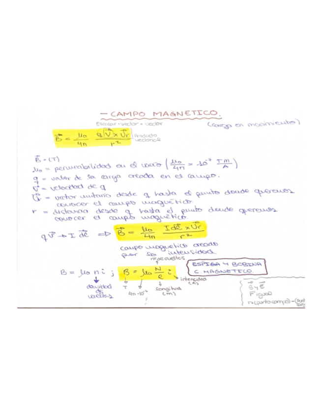 Miniatura del documento Campo-magnetico.pdf