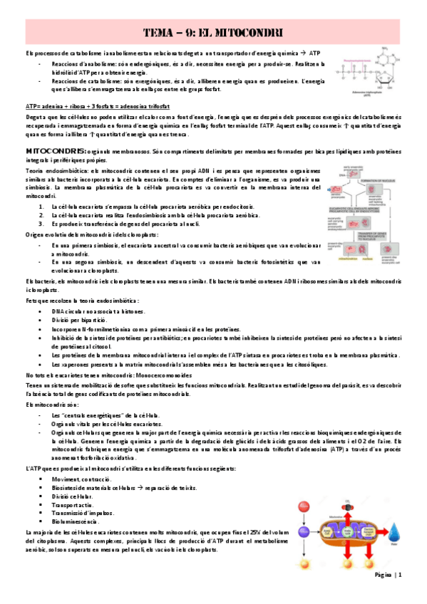 Miniatura del documento Tema-9.pdf