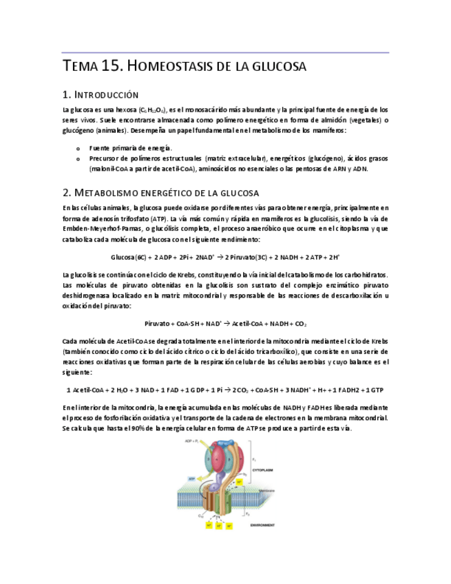 Miniatura del documento Tema-15.pdf