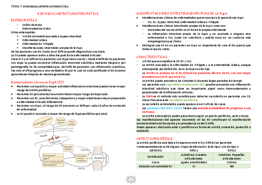 Miniatura del documento ESPONDILOARTRITIS-ENTEROPATICA.pdf