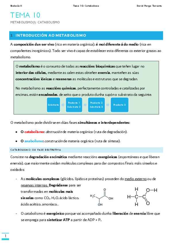 Miniatura del documento TEMA-10.pdf